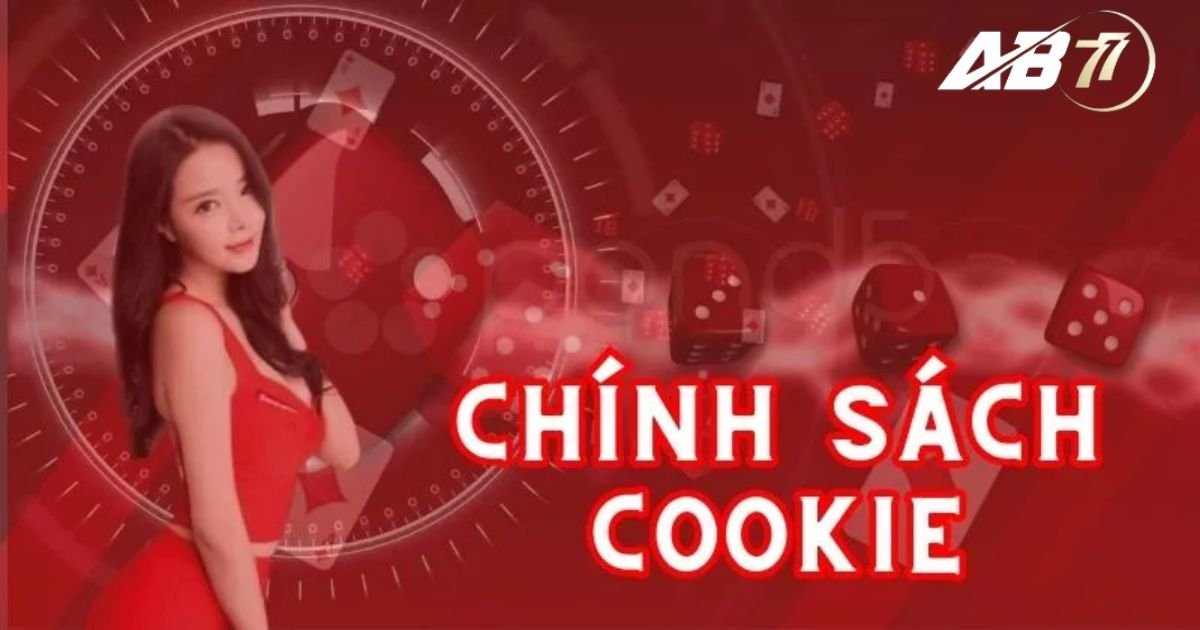 Chính sách cookie AB77 được xây dựng có gì? 